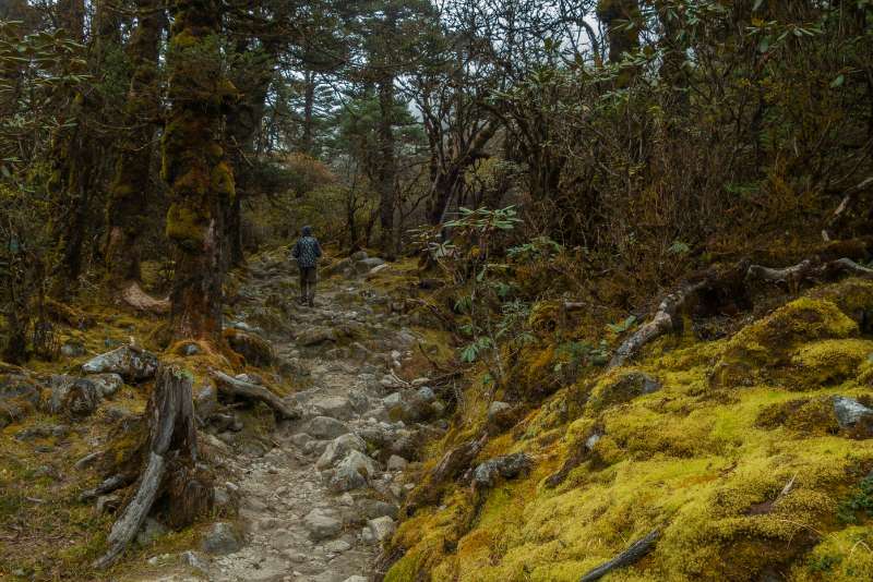 Singalila National Park in Sikkim